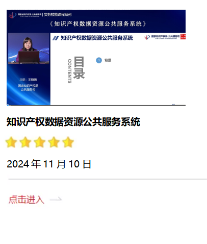 知識(shí)產(chǎn)權(quán)數(shù)據(jù)資源公共服務(wù)系統(tǒng).png